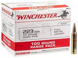 WINCHESTER WINCHESTER BATTLE PACK 100RDS .223REM 55GR